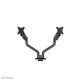 3. Neomounts DS70S-950BL2 Monitor Holder/Stand 88.9 cm (35") Desk Black