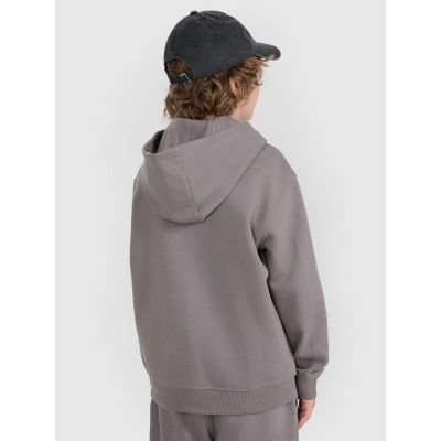 6. Boy's zip-up hoodie sweatshirt 4F 4FJRAW25TSWSM2488-22S