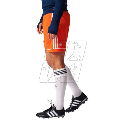 7. Adidas Squadra 17 M BJ9229 football shorts