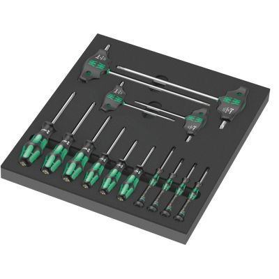 FOAM INSERT WITH SCREWDRIVERS FOR TORX SCREWS AND BOLTS 14PCS