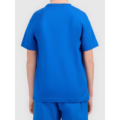 2. Boy's cotton T-shirt 4F 4FJWAW26TTSHM3507-36S