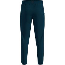 Men's Odlo ZEROWEIGHT PRO WINDPROOF WARM Pants regular length, green