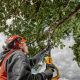 2. 18V DCMPS567N-XJ DEWALT Chainsaw