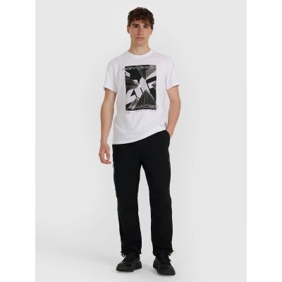 6. Men's T-shirt 4F 4FRAW25TTSHM3258-10S