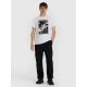 6. Men's T-shirt 4F 4FRAW25TTSHM3258-10S