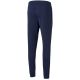 4. Puma teamRISE Poly Training Pants M 657390 06