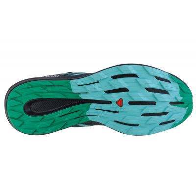 4. Salomon Pulsar Trail M 472102 shoes