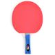 2. Ping-pong racket SMJ Faster 12201-1