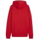 6. Puma Team Goal Casuals Hoody M 658618 01