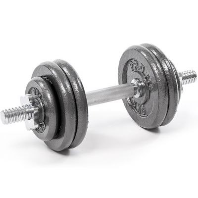13. Profit cast iron dumbbells 10kg DK 4126