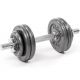 13. Profit 10kg DK 4126 cast iron dumbbell