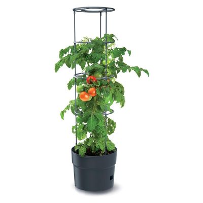 10. TOMATO PLANTING POT WITH LADDER CAPACITY 18L