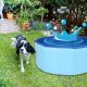 6. FOLDABLE GARDEN POOL FOR DOGS 80X30CM SASKA GARDEN