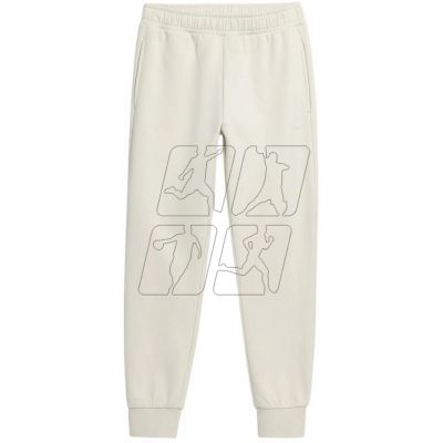 Outhorn pants W OTHAW22TTROF041 11S