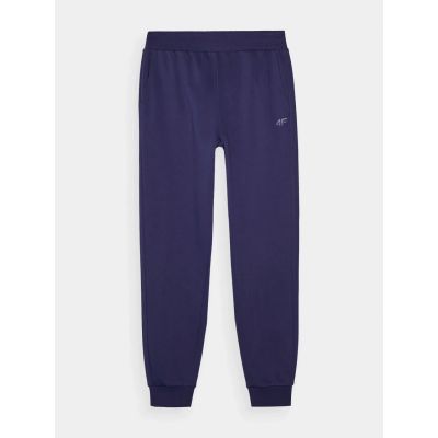 10. Trousers 4F M 4FWMM00TTROM0943-31S