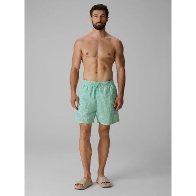 6. Men's boardshorts 4F 4FRSS26UBDSM260-90A