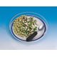 2. Transparent cover for a 25-28cm plate