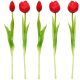 18. BOUQUET OF 5 RED PEONY TULIPS 39 CM LIFE-LIKE SPRING DECORATION