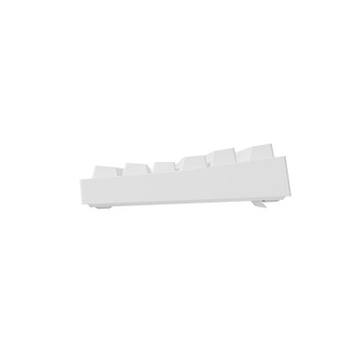 7. GENESIS Thor 404 TKL Keyboard Gaming USB QWERTY American International White