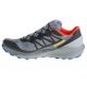 6. Shoes Salomon Sense Ride 4 GTX M 413778
