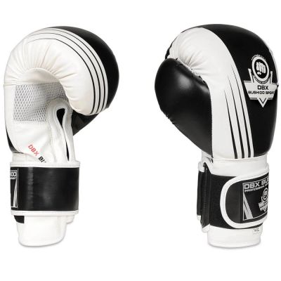 4. 10oz Boxing Gloves - Edge - Valor Series