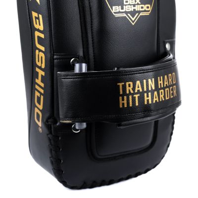 11. PAO Gold Thai Shields pair | ProFighter | DBX Bushido