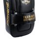 11. PAO Gold Thai Shields pair | ProFighter | DBX Bushido