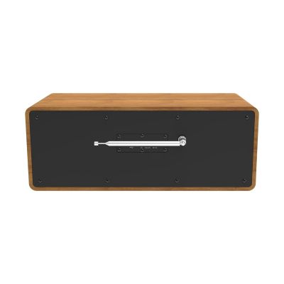 2. Telestar 5701300 radio Digital Internet Wood