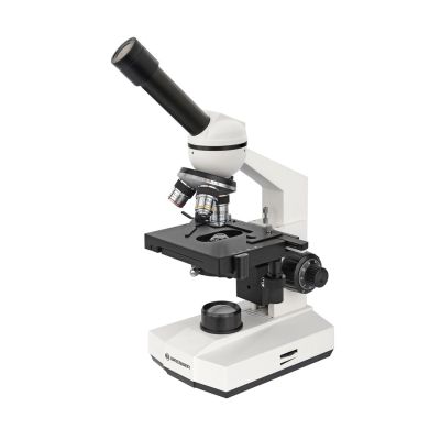 Microscope magnification from 40x to 400x