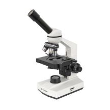 Microscope magnification from 40x to 400x