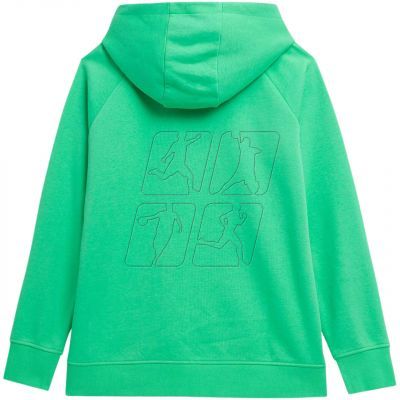 2. Sweatshirt 4F W 4FSS23TSWSF535 41S