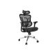 Equip Ergonomic Office Chair + Headrest/Armrests Lite Retail