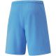6. Puma teamRise Short Team M 704942 18 shorts
