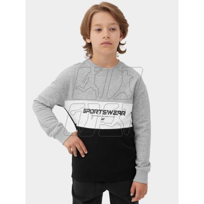 3. 4F Jr sweatshirt 4FJAW23TSWSM630-27M