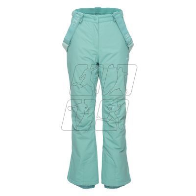 7. Hi-Tec Darin W ski pants 92800549452