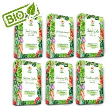 TORAF SEED SET - SET 1+2+3+4+5+6 2024 TORAF 63X1PCS