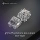 2. Moonstone Switch, USA