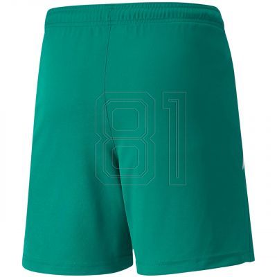 2. Puma teamLIGA Shorts Jr 704931 05