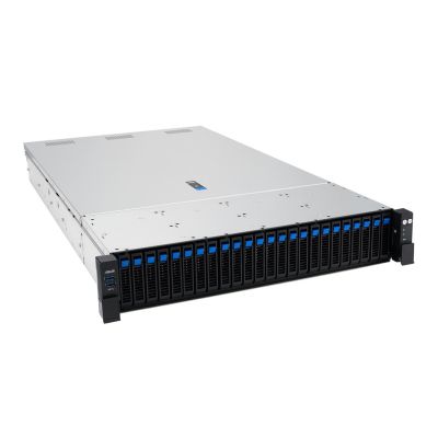3. Asus Rack Platform (2U) AMD RS720A-E13-RS24G