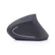 20. GEMBIRD MUSW-ERGO-01 mouse (optical; 1600 DPI; black)