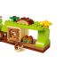 20. LEGO Duplo 10480 - Explorers' Forest with Wild Animals