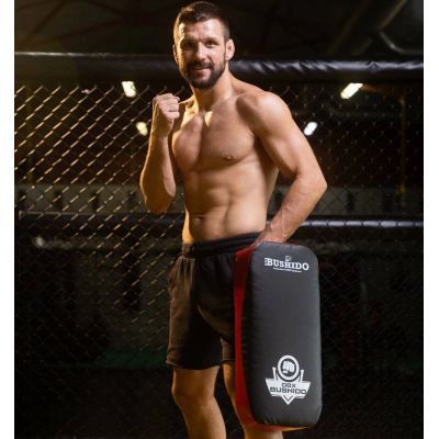 3. T55 | Thai training target with an elongated profile