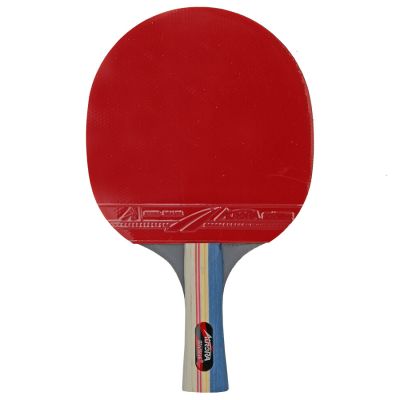 3. AURORA SG6182 *** table tennis set