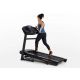 5. HORIZON FITNESS T202-26 Electric Treadmill