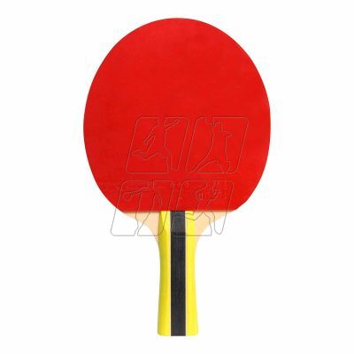 8. Cornilleau Sport 434000 table tennis bats