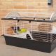 4. CASITA 80 (x1) - cage for guinea pigs and rabbits