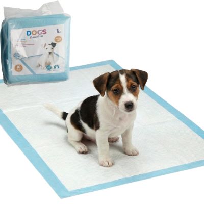 7. HYGIENIC TRAINING PAD FOR DOGS 10 PCS DOGS COLLECTION