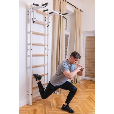 39. GYMNASTIC LAMBER WITH ADJUSTABLE METAL BAR 731W BENCHK