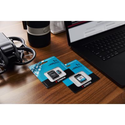 2. Kingston Canvas Go Plus SDG4/1TB Memory Card (1TB; Class U3, V30; Memory Card)