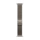 2. Apple Watch 49mm Natural Titanium Milanese Loop - Medium